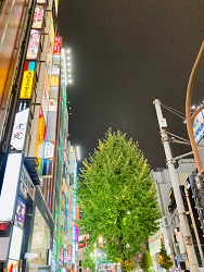新宿、靖国通りで深夜のお届け。新宿、歌舞伎町、新宿二丁目、風俗営業許可申請はダントツの行政書士渡辺人支事務所へ！