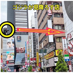 歌舞伎町でカジノバー、ゴジラも見下ろす歌舞伎町。新宿、カジノバー、キャバクラ、ホストクラブ、風俗営業許可申請はダントツの行政書士渡辺人支事務所へ！