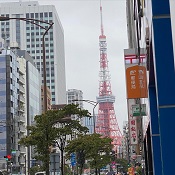 慶応大学の足もとは東京タワーの足もと。三田、港区の風俗営業許可申請は断トツの行政書士渡辺人支事務所へ！
