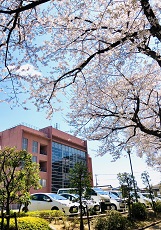 さいたま保健所の桜、大宮、南銀座、浦和、越谷、川越、所沢、埼玉県の風俗営業は行政書士渡辺人支事務所へ