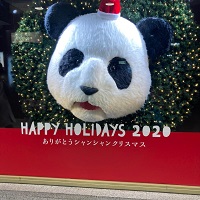 上野のクリスマス、上野、湯島の風俗営業許可申請はダントツの行政書士渡辺人支事務所へ！